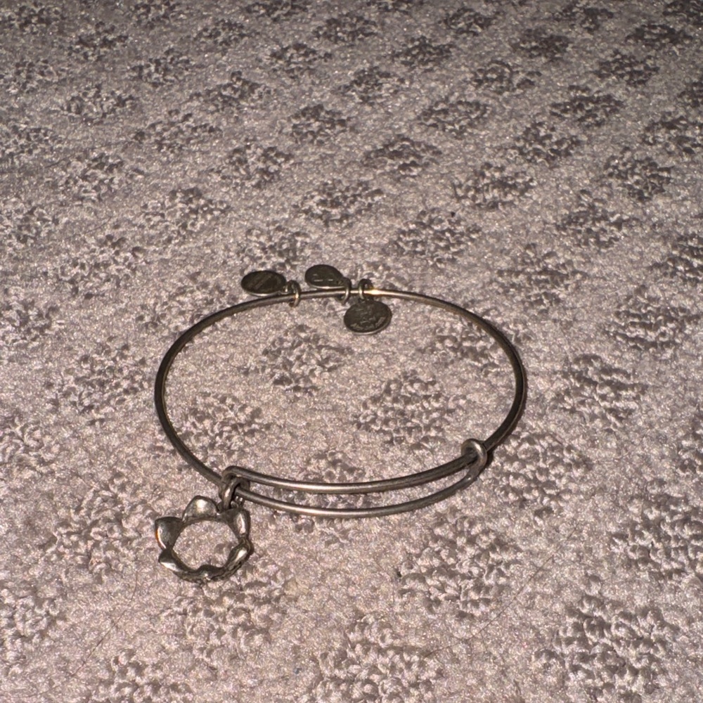 Alex and Ani crown Silver Charm Bangle Bracelet